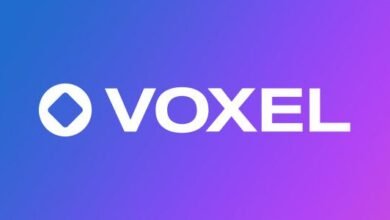 Voxel